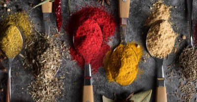 Aromatische Gewürze und Kräuter auf Holzlöffeln