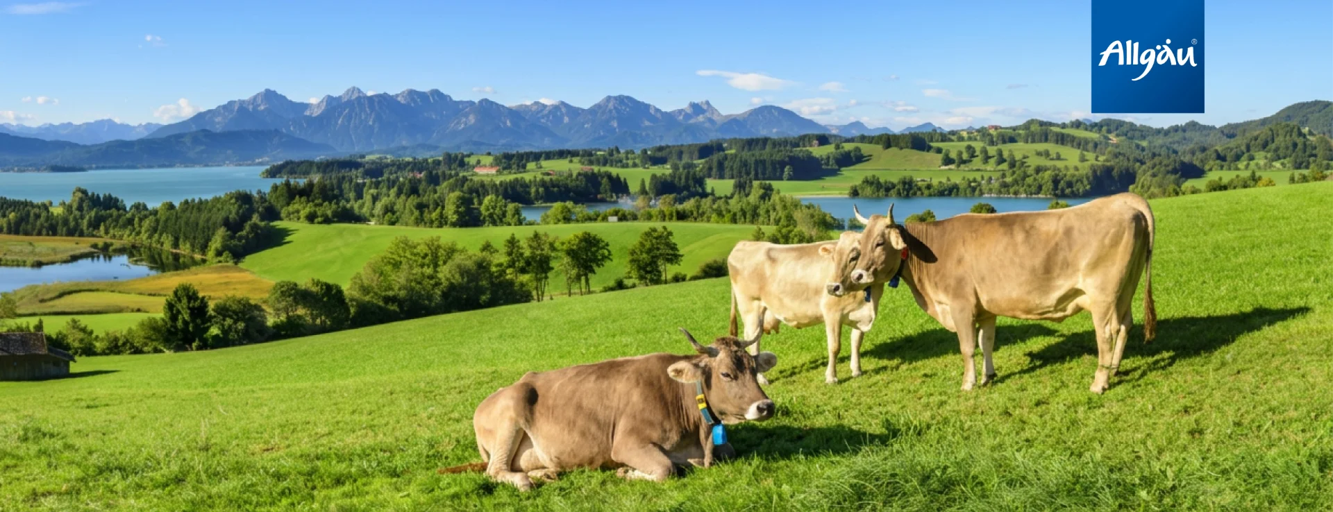 Allgäu Alpen Genuss Header