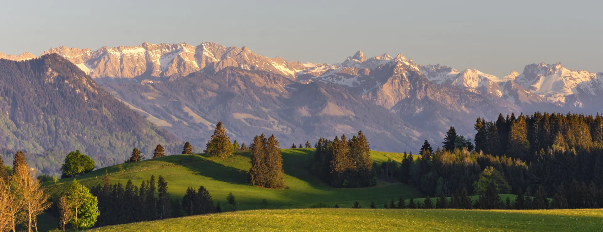 Leistungen Header